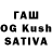 Галлюциногенные грибы GOLDEN TEACHER Senghor Pung