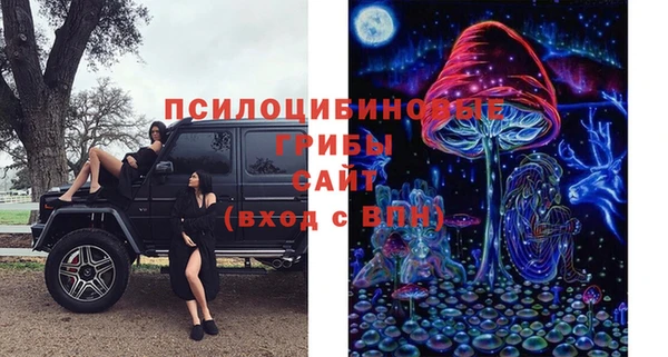 хмурый Елабуга