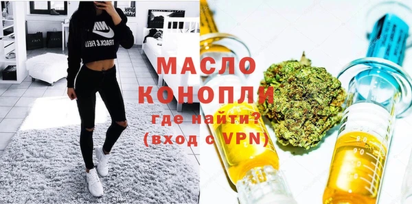 хмурый Дмитров