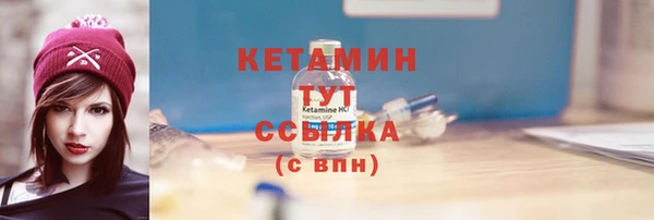 хмурый Дмитров
