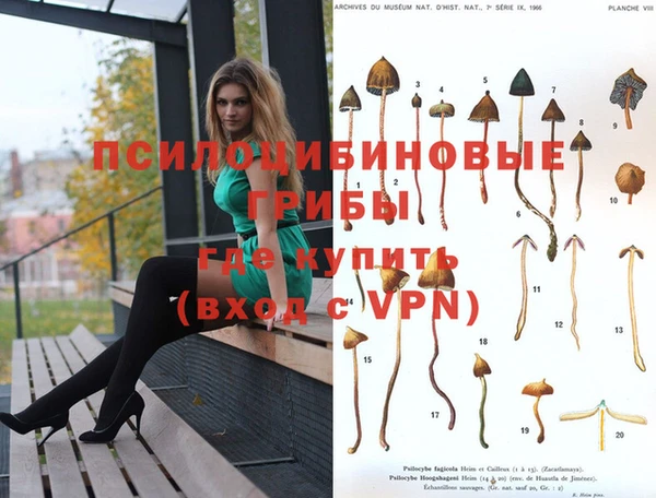 бошки Дмитриев