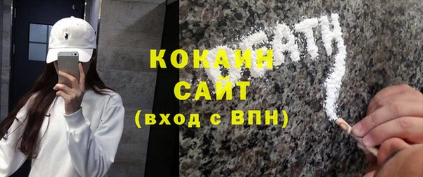 кокс Елизово