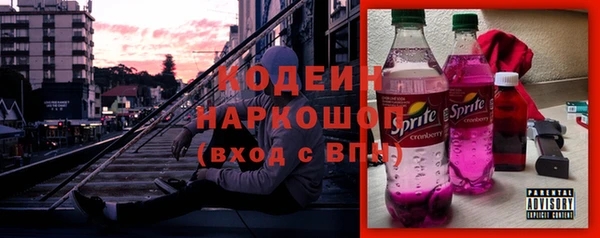 хмурый Елабуга