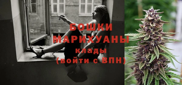кокс Елизово