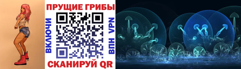 где можно купить наркотик MEGA Галлюциногенные грибы Psilocybine cubensis Пятигорск