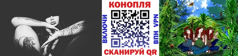 Шишки марихуана план  закладка  Пятигорск 